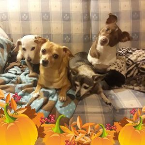 Meet your Posher, Kimberly